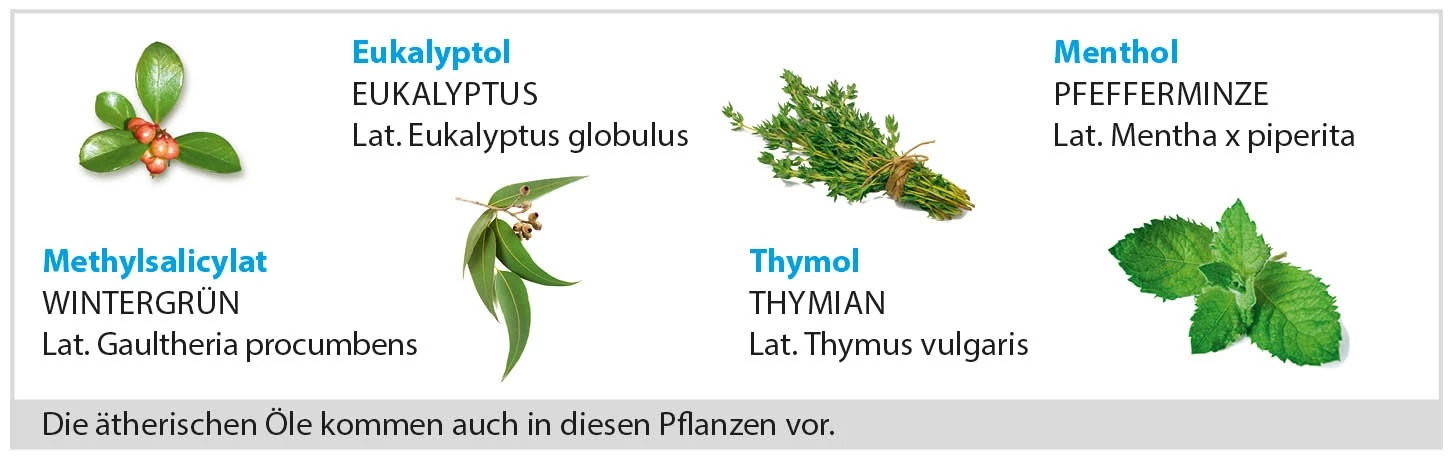 © Johnson & Johnson GmbH