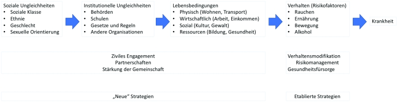 Abb. 2: Pfade zur Entstehung von Ungleichheiten in der Mundgesundheit. Sogenannte „distale“ Faktoren, wie soziale Ungleichheiten, bestimmen die spezifischen
Lebensbedingungen jedes Einzelnen. Physische Parameter (z.B. die Möglichkeit, mit einem Auto zum Arzt zu fahren), wirtschaftliche Aspekte und damit verbundene
Ressourcen (z.B. die Möglichkeit, regelmäßig eine Zahnreinigung in Anspruch zu nehmen), aber auch die Gesundheitskompetenz und die kulturellen und sozialen
Aspekte (z.B. die Bedeutung von Mundgesundheit und „Zahnästhetik“) bestimmen das Verhalten. Das Verhalten wiederum wirkt auf dentale Erkrankungen (z.B. Karies
und Parodontitis). Etablierte Präventionsstrategien zielen auf die Modifikation dieses Risikoverhaltens ab. Neue Präventionsstrategien setzen früher in dem Pfad an.
Modifiziert nach https://letsgethealthy.ca.gov/sdoh/