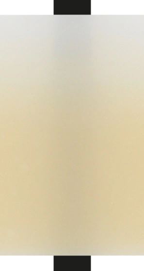 Der schichtfreie Transluzenzverlauf bei ZirCAD Prime.