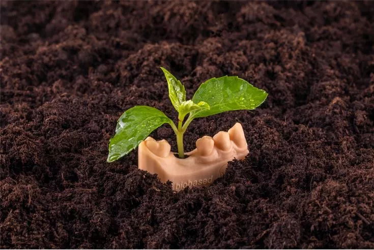 Mit der Entwicklung eines biobasierten Modellkunststoffs leistet Dreve Dentamid einen Beitrag zum „grünen“ 3D-Druck.