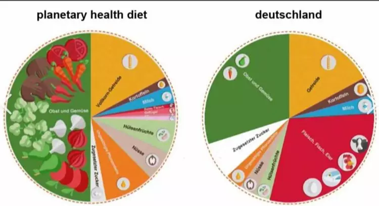 Abb. 1: Die Planetary Health Diet zeigt eine nachhaltige Ernährungsweise auf.