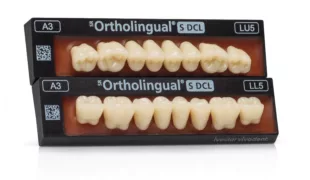 Totalprothesen: Neue Seitenzahnlinie SR Ortholingual S DCL für die lingualisierte Okklusion.