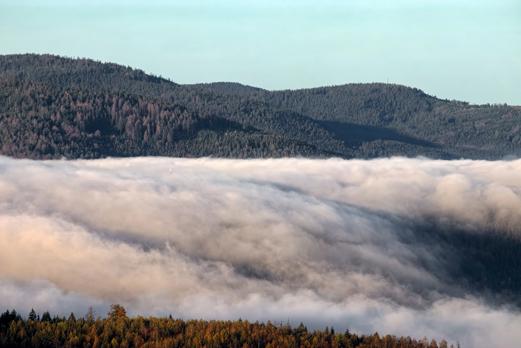 Der Schwarzwald bei Forbach, in dem sich das Bergwald-Projekt engagiert.