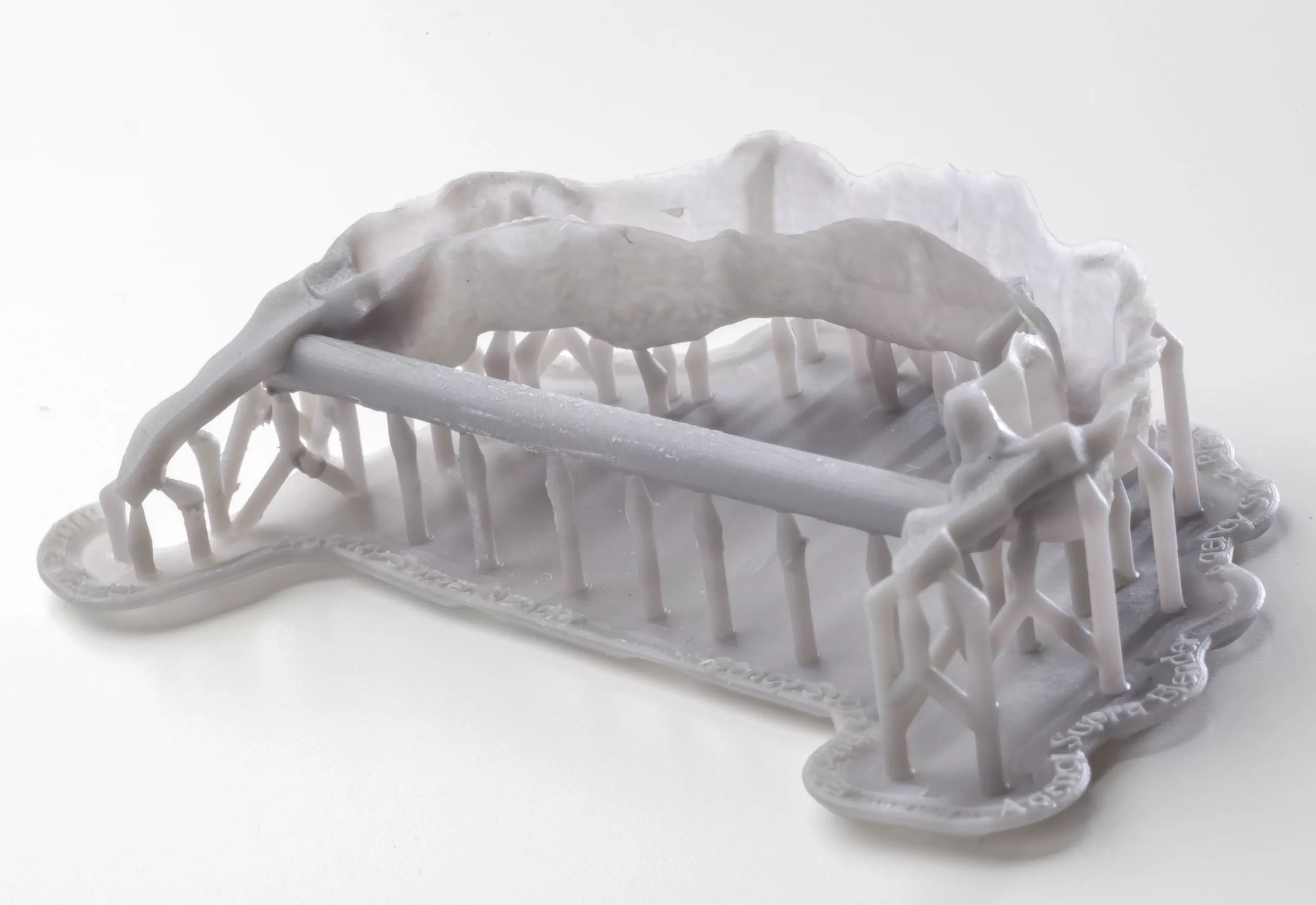 Abb. 17c: Die Supports im Fokus.