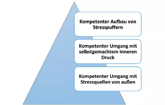 Abb. 1: Erlernbare Kompetenzen des Konstruktes Stressresistenz.