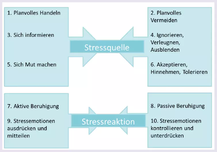 Abb. 2: Stressbewältigungsstrategien aus der Stressforschung.