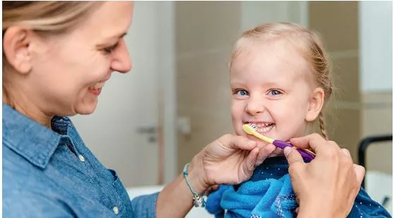 Abb. 6: Eltern sollen direkt nach dem Abendessen unter Verwendung von fluoridhaltiger Kinderzahnpasta alle Zähne ihres Kindes von allen Seiten sauber (= plaquefrei) putzen.