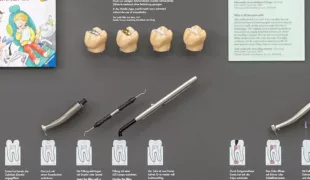 Die vier 3D-gedruckten Zahnmodelle zeigen die unterschiedlichen Füllungsmaterialien. Darunter ist
zudem die VOCO-Polymerisationslampe Celalux ausgestellt.