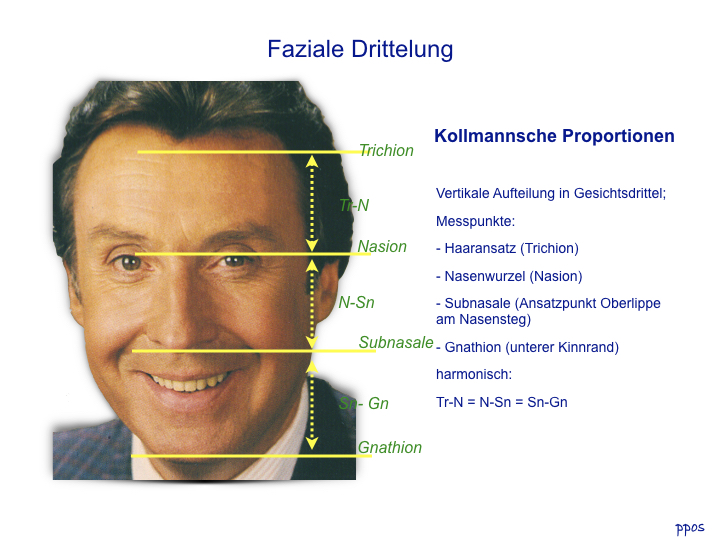 Abb. 4: Darstellung der Kollmannschen Proportionen als Anhaltspunkt für den Abstand des Unterkiefers zum Oberkiefer.
