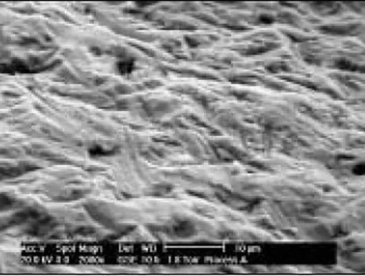 Abb. 2: die Oberfläche eines Zirkonimplantats mit glatter Oberfläche (Laser und Bestrahlung nach Sinterung
eines gehippten Zirkons).