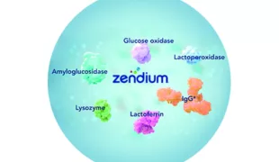 Dank Proteinen und Enzymen unterstützt Zendium das natürliche Abwehrsystem des Mundes.