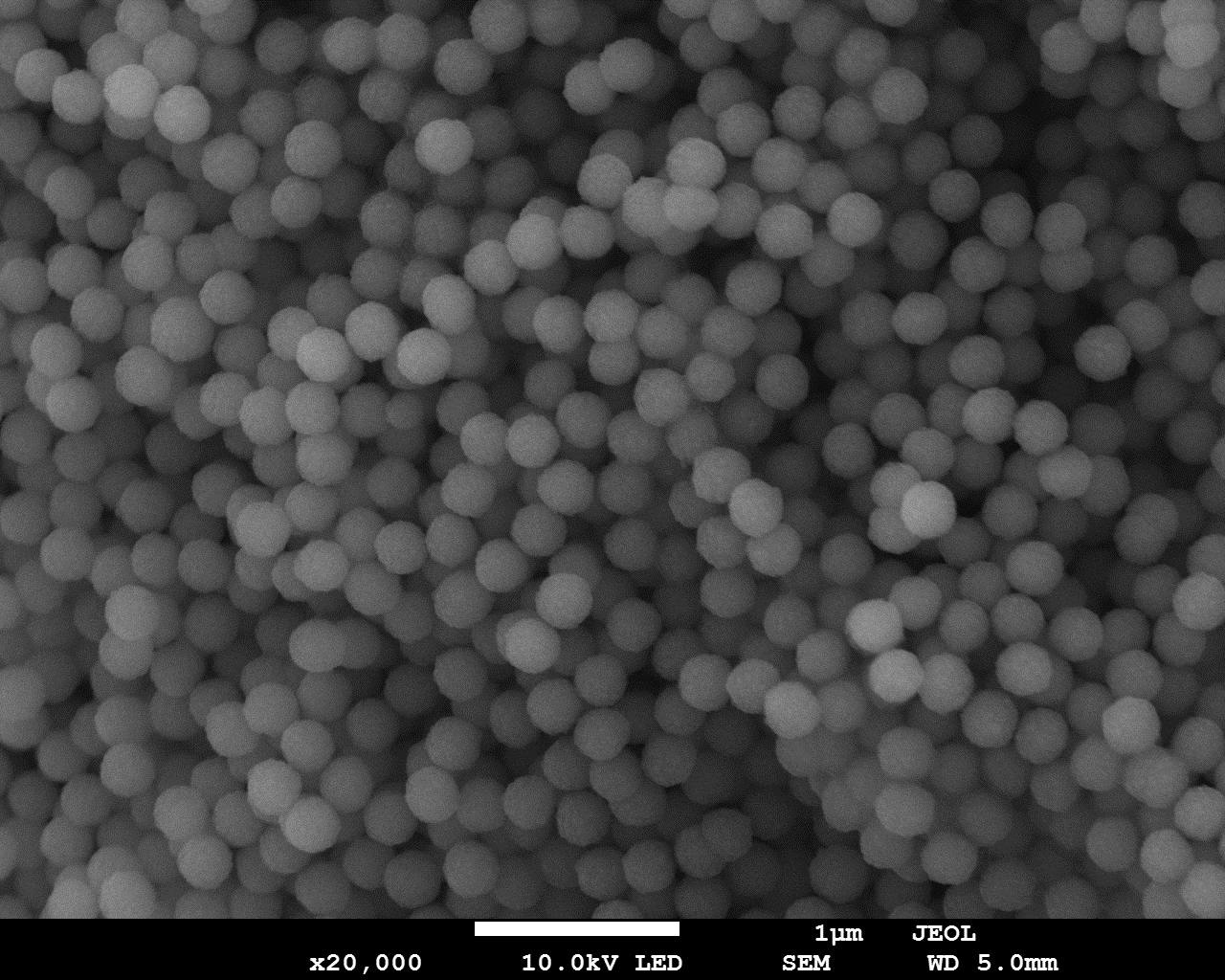 Eine Mikrostruktur, die es in sich hat: Einheitliche Füllkörper kontrollierter Größe erzeugen Farbe aus Struktur. 
© Tokuyama Dental