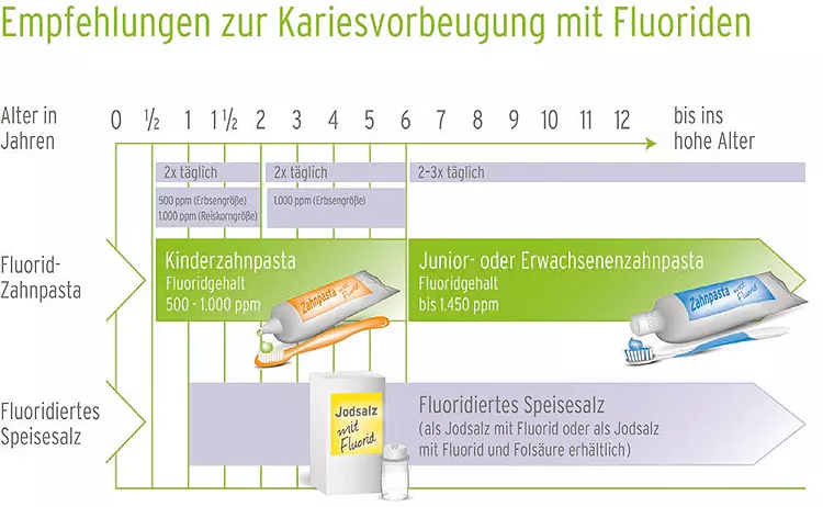 Abb. 3: Fluoridfahrplan für die häusliche Prophylaxe.