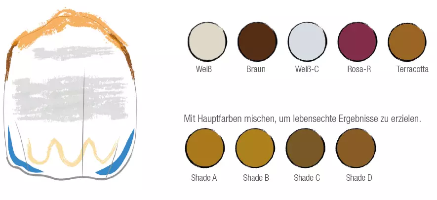 ... 2D-Pasten für farbliche Charakterisierungen und 3D-Pasten für filigrane Texturen und feine Formadaptionen.