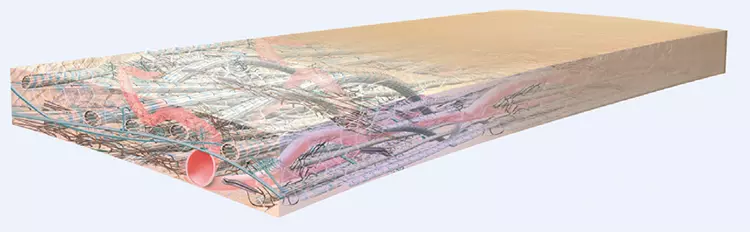 Komplexer azellulärer heterogener Zellgerüst- und Blutgefäßaufbau.