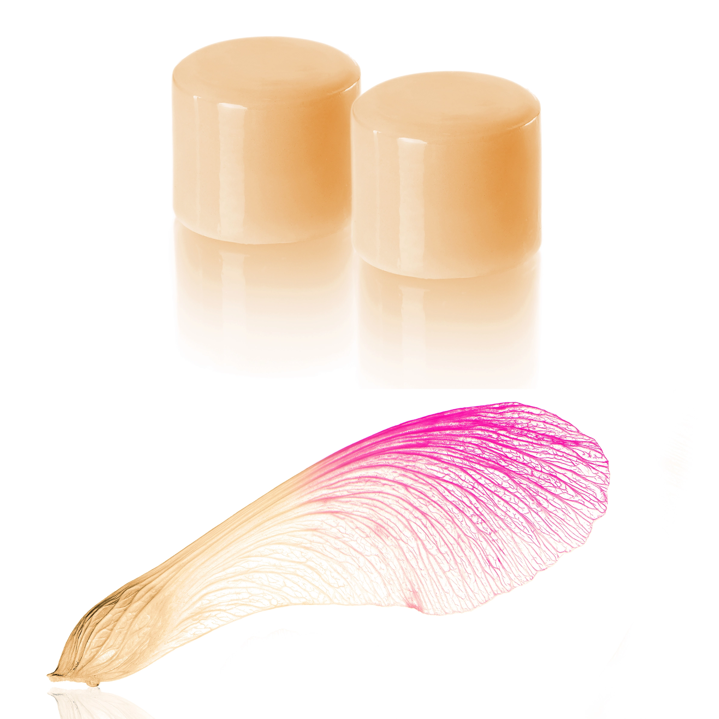 Eine hochfeste Lithium-Disilikat Presskeramik: ceraMotion® LiSi.