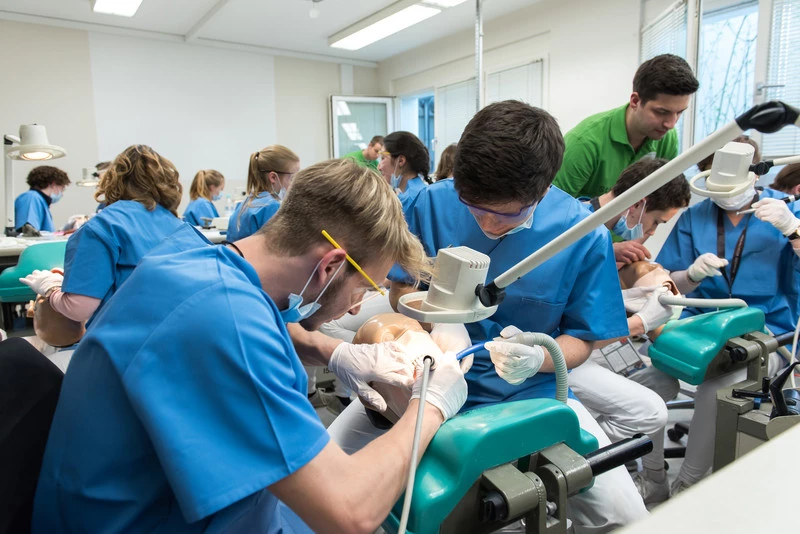 In den Beruf des Zahnarztes schnuppern. Die Möglichkeit bietet die Universität Witten/Herdecke.