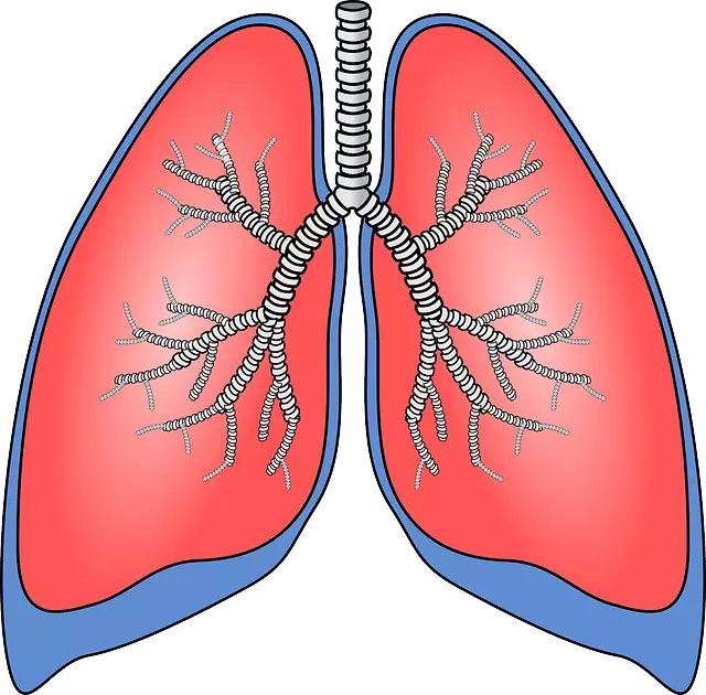 Wirkt sich eine erfolgreiche zahnärztliche Behandlung einer Parodontose auch günstig auf den Verlauf der chronischen Lungenerkrankung (COPD) aus?