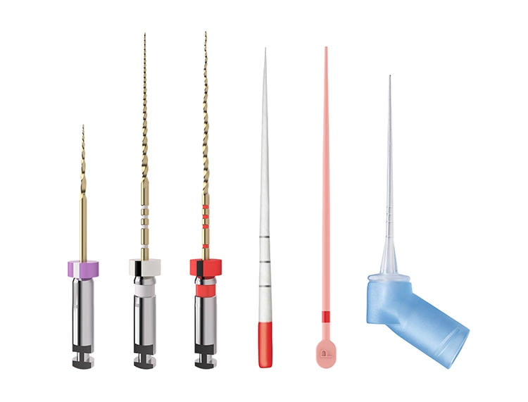 Feilen, Papierspitzen, Obturatoren, Spülkanüle – alles aufeinander abgestimmt (TruNatomy, Dentsply Sirona).