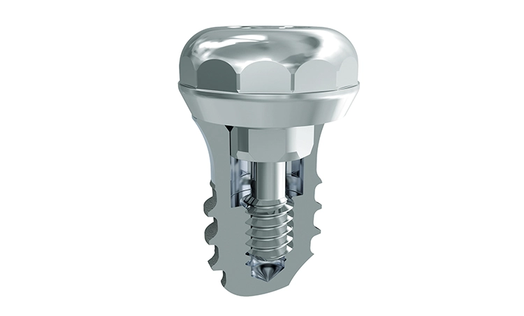 Gaumenimplantat tomas® PI.