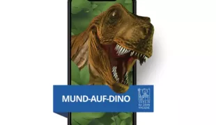 Der Dino soll Kinder motivieren, den Zahnarzt/die Zahnärztin in ihren Mund schauen zu lassen.
