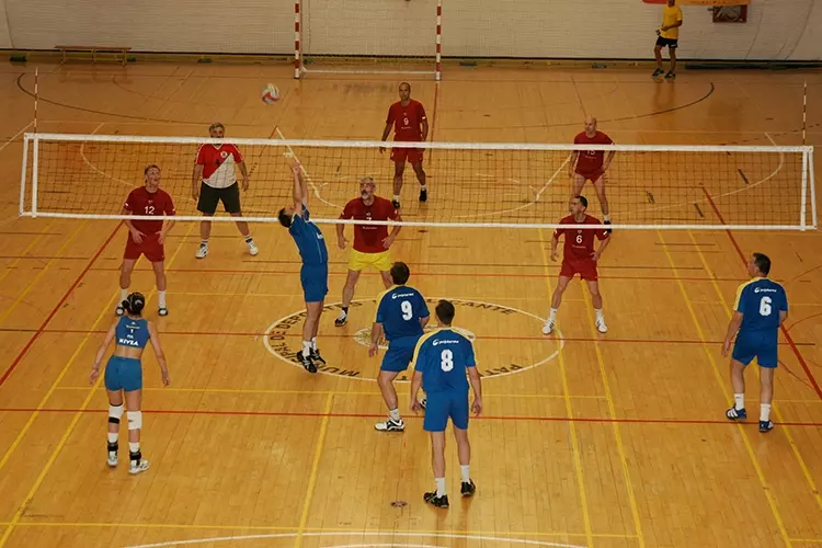 Volleyball für Mixedmannschaften.