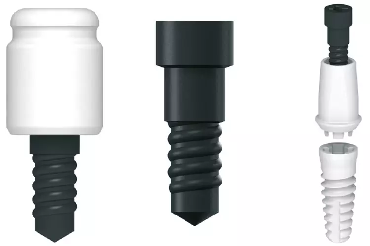 von links: Zeramex Docklocs® Abutment, Vicarbo Schraube für Zeramex XT (SB/RB/WB) und Zeramex XT Implantat Ø3,5×8 mm SB.